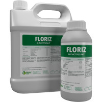 Floriz
