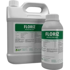 Floriz